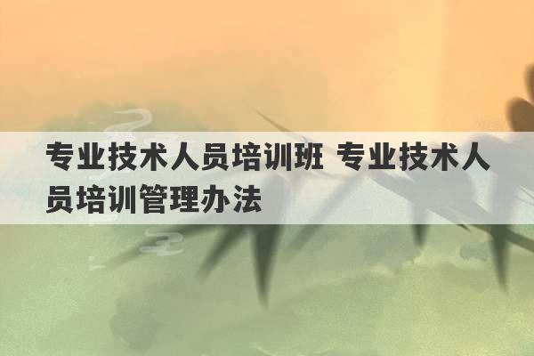 专业技术人员培训班 专业技术人员培训管理办法