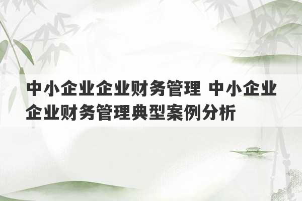 中小企业企业财务管理 中小企业企业财务管理典型案例分析