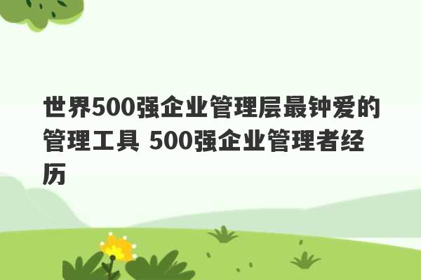 世界500强企业管理层最钟爱的管理工具 500强企业管理者经历