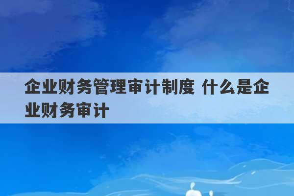 企业财务管理审计制度 什么是企业财务审计