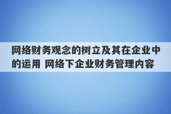 网络财务观念的树立及其在企业中的运用 网络下企业财务管理内容