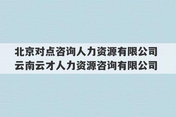 北京对点咨询人力资源有限公司 云南云才人力资源咨询有限公司