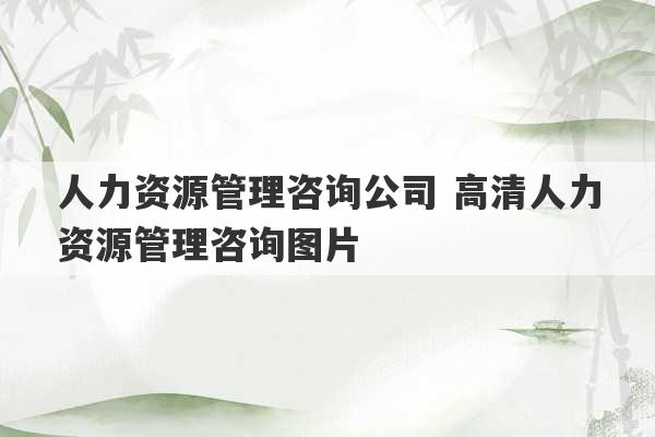 人力资源管理咨询公司 高清人力资源管理咨询图片