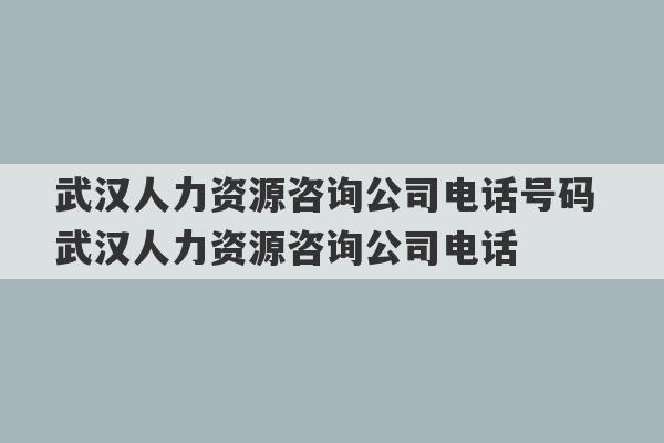 武汉人力资源咨询公司电话号码 武汉人力资源咨询公司电话