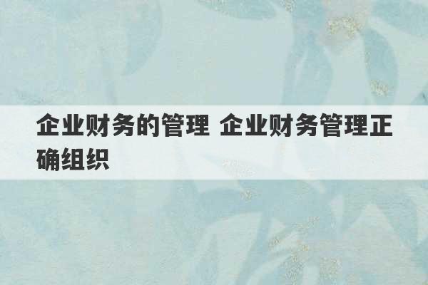 企业财务的管理 企业财务管理正确组织