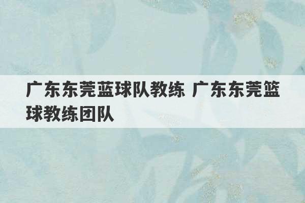 广东东莞蓝球队教练 广东东莞篮球教练团队