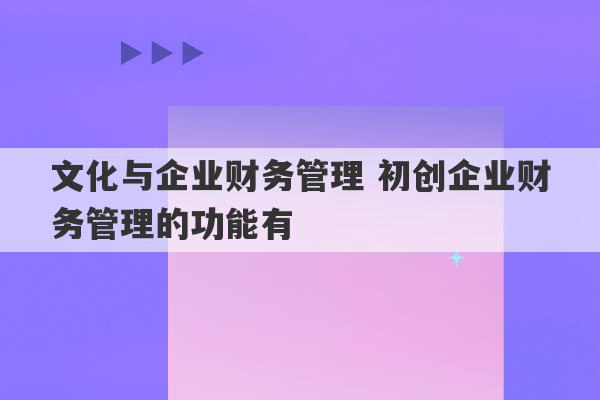 文化与企业财务管理 初创企业财务管理的功能有