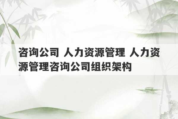 咨询公司 人力资源管理 人力资源管理咨询公司组织架构