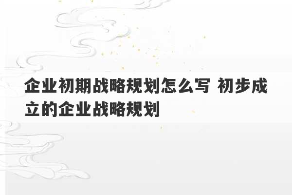 企业初期战略规划怎么写 初步成立的企业战略规划