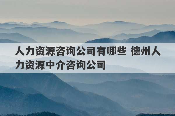 人力资源咨询公司有哪些 德州人力资源中介咨询公司