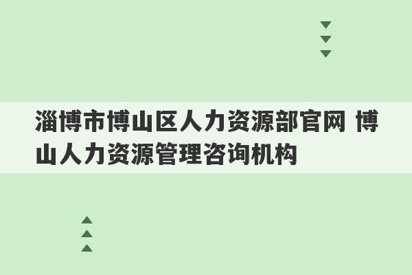 淄博市博山区人力资源部官网 博山人力资源管理咨询机构