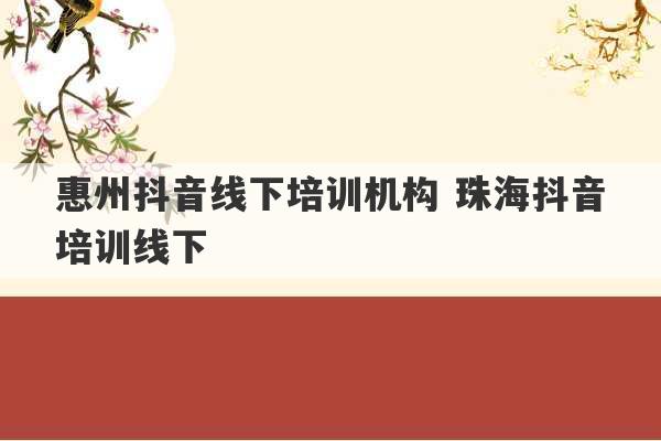 惠州抖音线下培训机构 珠海抖音培训线下