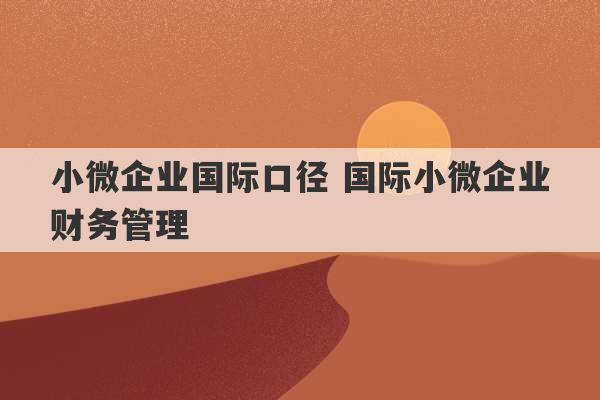 小微企业国际口径 国际小微企业财务管理