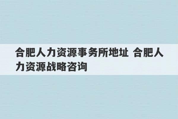 合肥人力资源事务所地址 合肥人力资源战略咨询