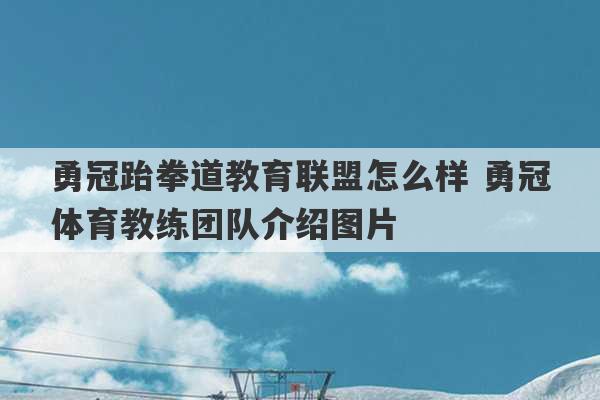 勇冠跆拳道教育联盟怎么样 勇冠体育教练团队介绍图片