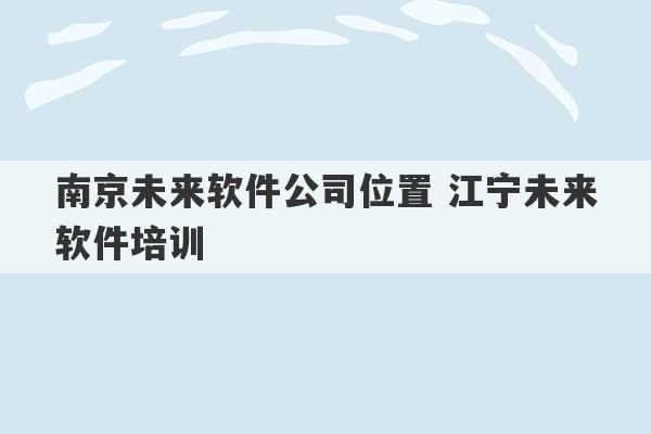 南京未来软件公司位置 江宁未来软件培训