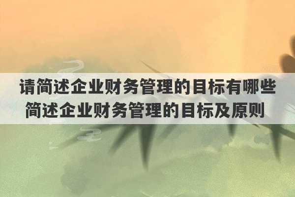 请简述企业财务管理的目标有哪些 简述企业财务管理的目标及原则