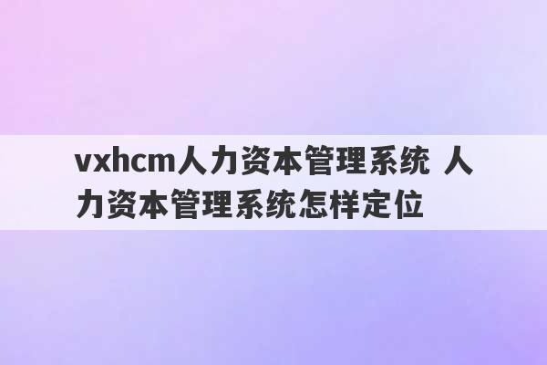 vxhcm人力资本管理系统 人力资本管理系统怎样定位