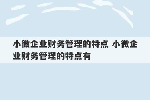 小微企业财务管理的特点 小微企业财务管理的特点有