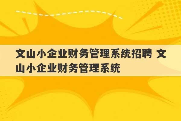 文山小企业财务管理系统招聘 文山小企业财务管理系统