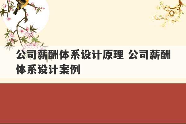 公司薪酬体系设计原理 公司薪酬体系设计案例