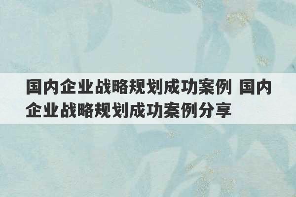 国内企业战略规划成功案例 国内企业战略规划成功案例分享