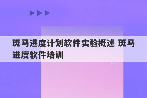 斑马进度计划软件实验概述 斑马进度软件培训