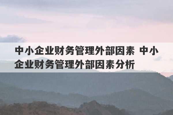 中小企业财务管理外部因素 中小企业财务管理外部因素分析