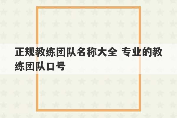 正规教练团队名称大全 专业的教练团队口号