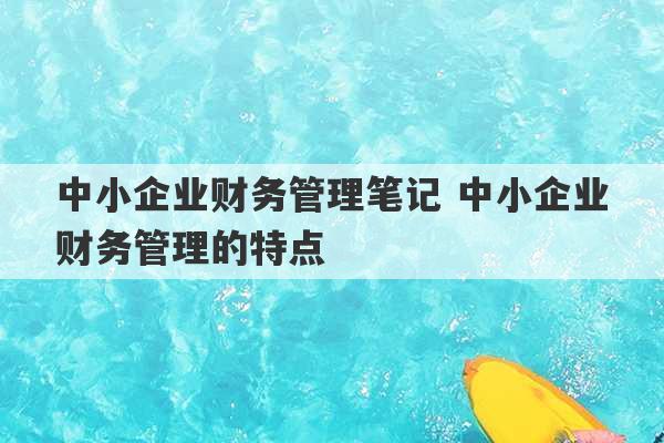 中小企业财务管理笔记 中小企业财务管理的特点