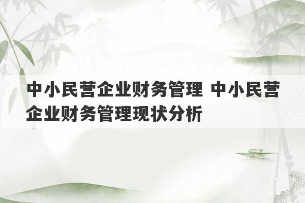 中小民营企业财务管理 中小民营企业财务管理现状分析