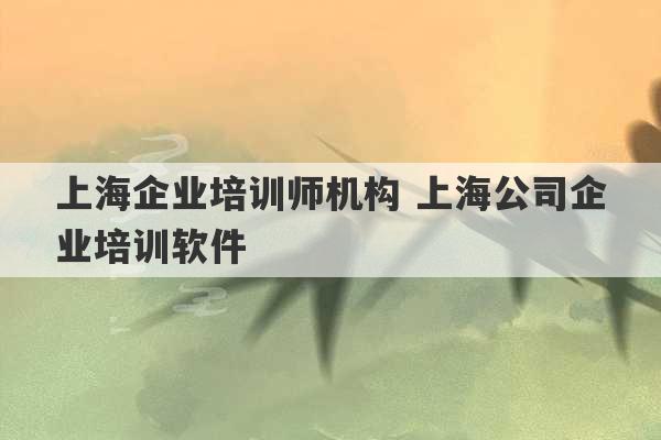 上海企业培训师机构 上海公司企业培训软件