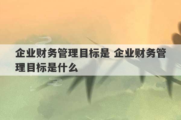 企业财务管理目标是 企业财务管理目标是什么