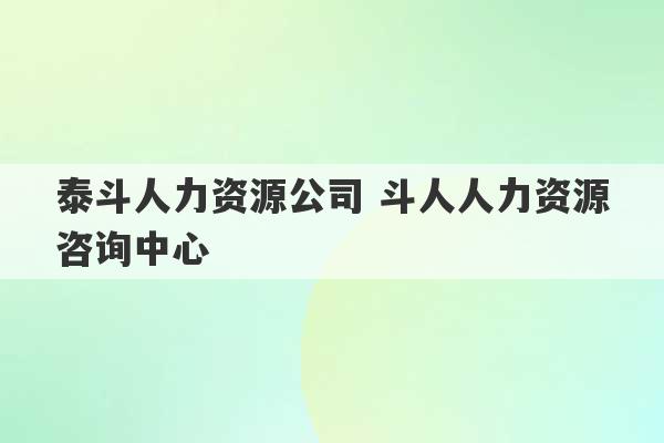 泰斗人力资源公司 斗人人力资源咨询中心