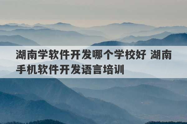 湖南学软件开发哪个学校好 湖南手机软件开发语言培训