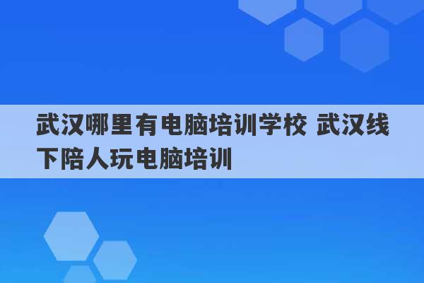 武汉哪里有电脑培训学校 武汉线下陪人玩电脑培训