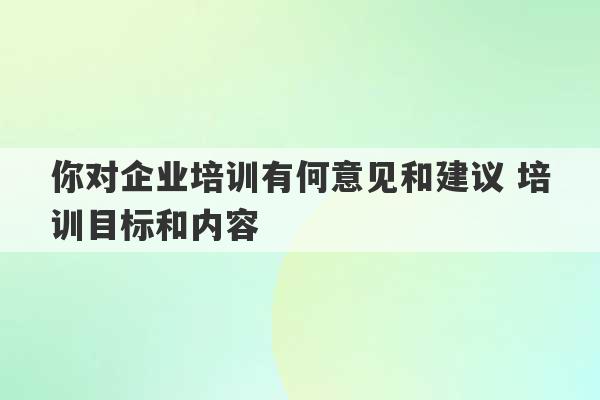 你对企业培训有何意见和建议 培训目标和内容