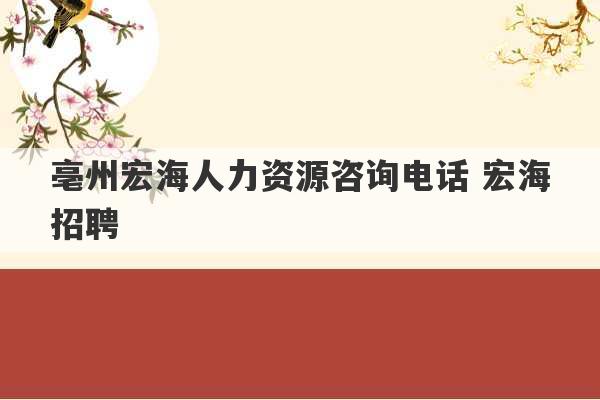 亳州宏海人力资源咨询电话 宏海招聘