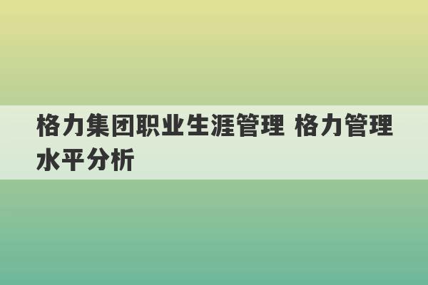 格力集团职业生涯管理 格力管理水平分析