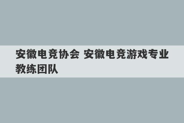 安徽电竞协会 安徽电竞游戏专业教练团队