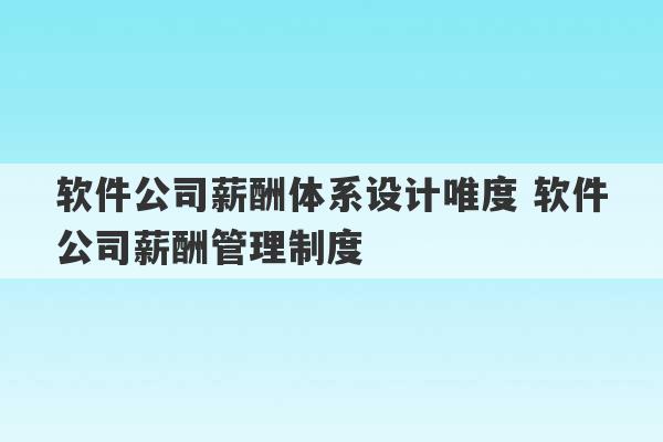 软件公司薪酬体系设计唯度 软件公司薪酬管理制度