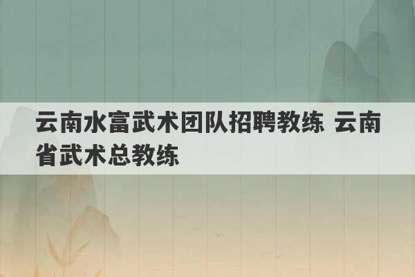 云南水富武术团队招聘教练 云南省武术总教练