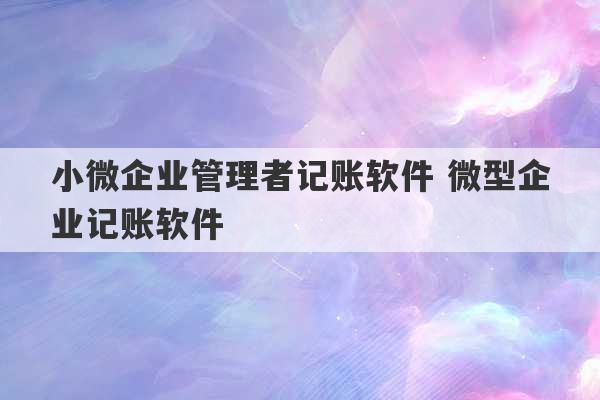 小微企业管理者记账软件 微型企业记账软件