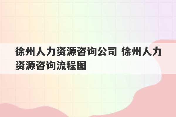 徐州人力资源咨询公司 徐州人力资源咨询流程图