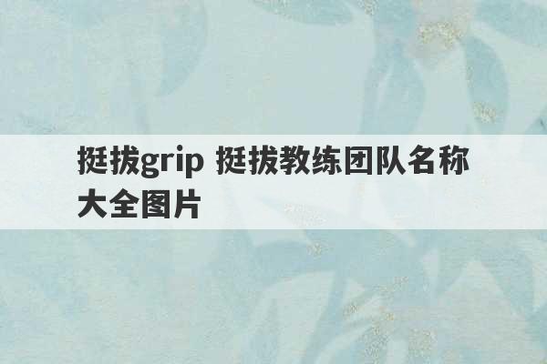 挺拔grip 挺拔教练团队名称大全图片