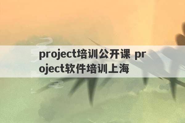 project培训公开课 project软件培训上海