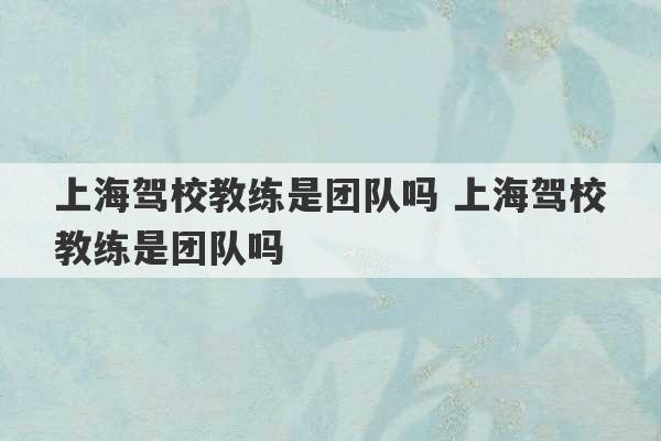 上海驾校教练是团队吗 上海驾校教练是团队吗