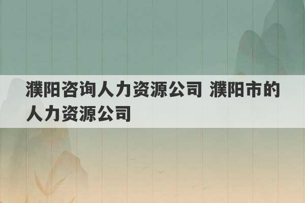 濮阳咨询人力资源公司 濮阳市的人力资源公司