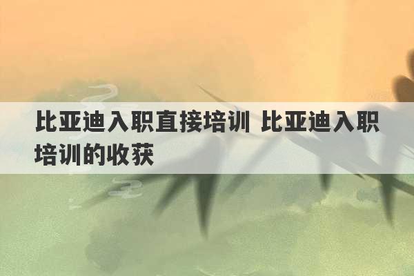 比亚迪入职直接培训 比亚迪入职培训的收获