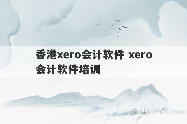 香港xero会计软件 xero会计软件培训